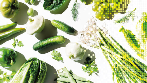 Frisches grünes Gemüse auf einer weißen Tischplatte, das für das Marktangebot an fertigen Softwarelösungen steht