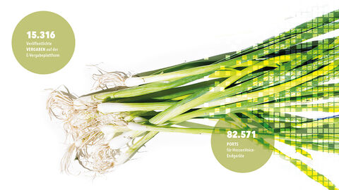 Frisches grünes Gemüse auf einer weißen Tischplatte, das für das Marktangebot an fertigen Softwarelösungen steht